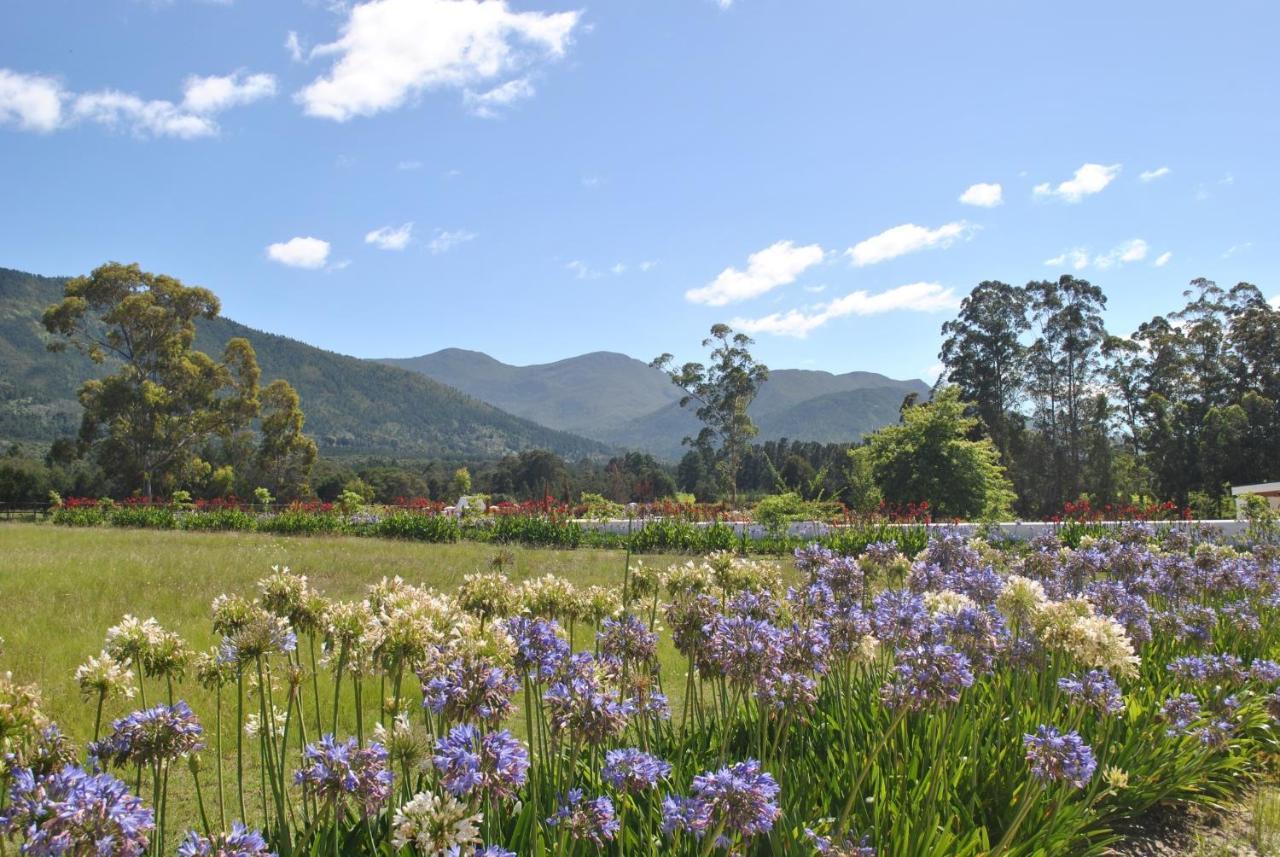 Lombard Villa Plettenberg Bay Eksteriør bilde