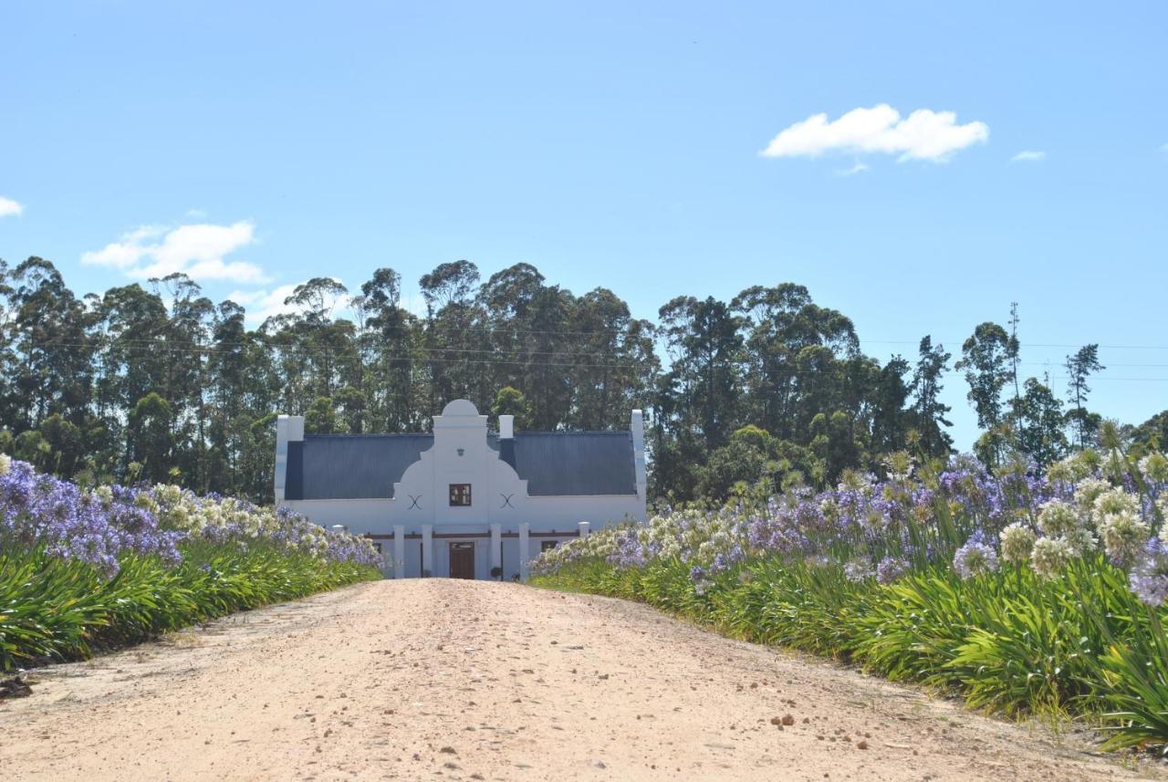 Lombard Villa Plettenberg Bay Eksteriør bilde